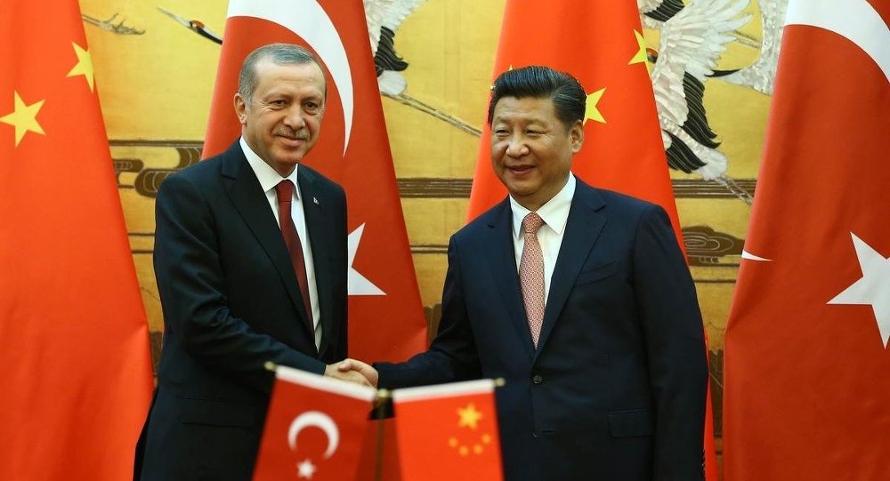 Erdoğan, Çin Lideri Şi ile görüştü