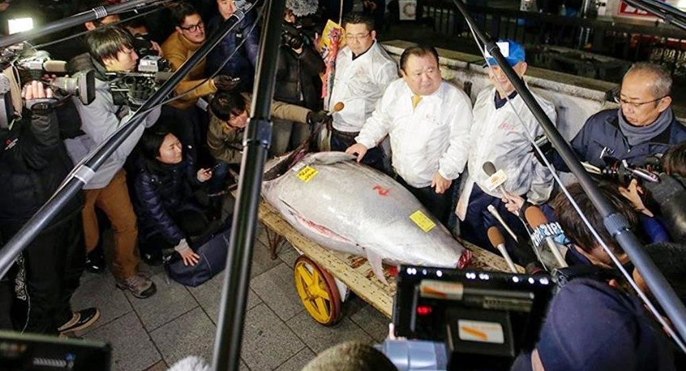 Japonya da yılın ilk orkinosu 320 bin dolar