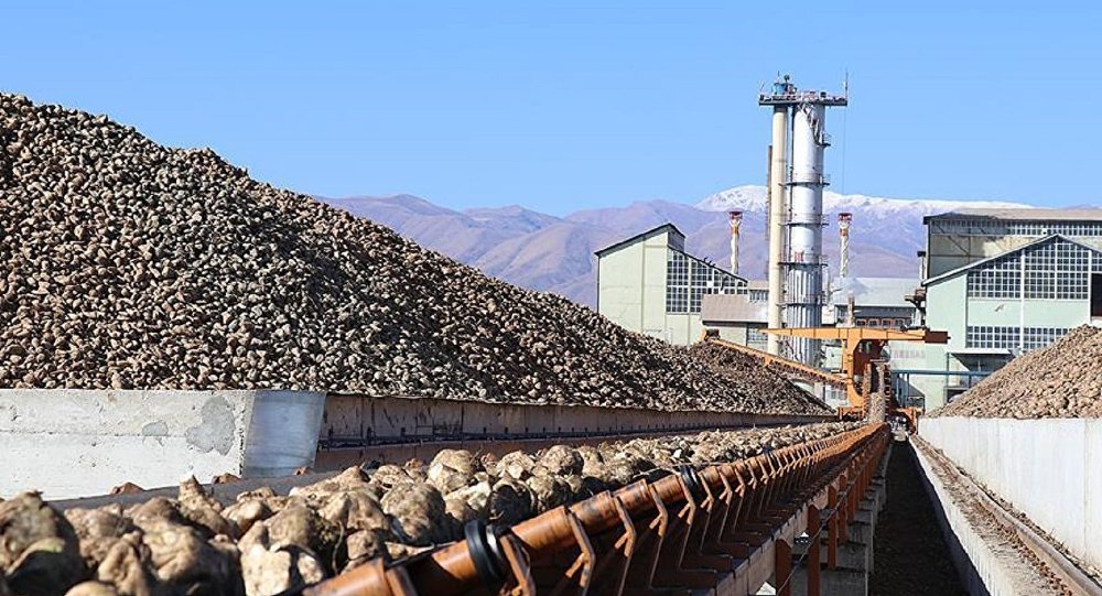 Afyon Şeker Fabrikası da satıldı