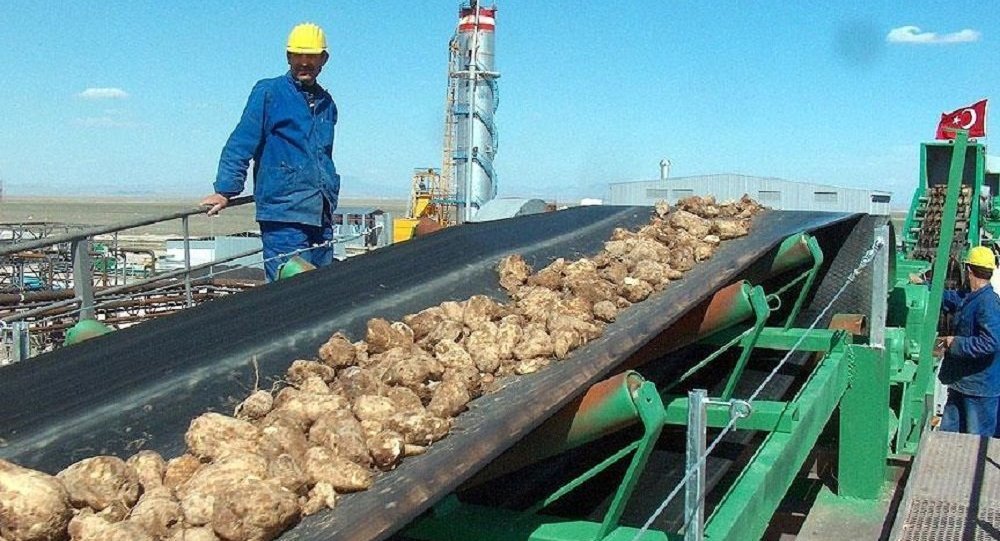 Erzurum Şeker Fabrikası ihalesinde teklif veren olmadı