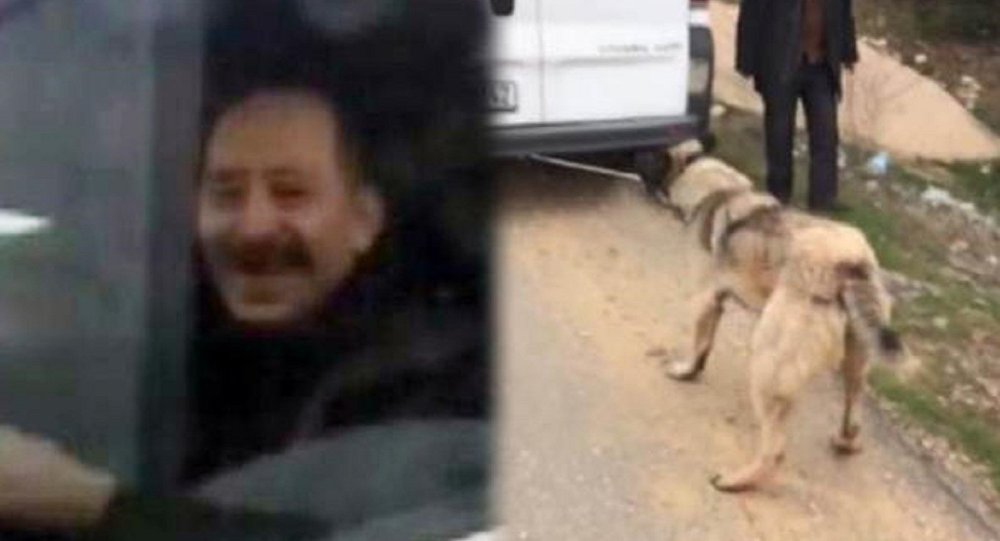 Köpeğe işkenceye para cezası