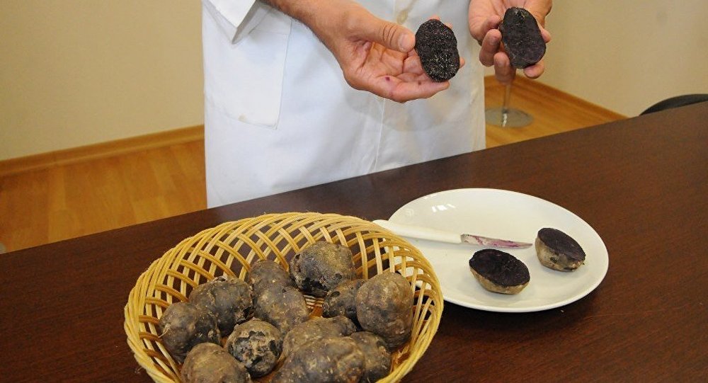Türkiye de ilk defa mor patates üretildi