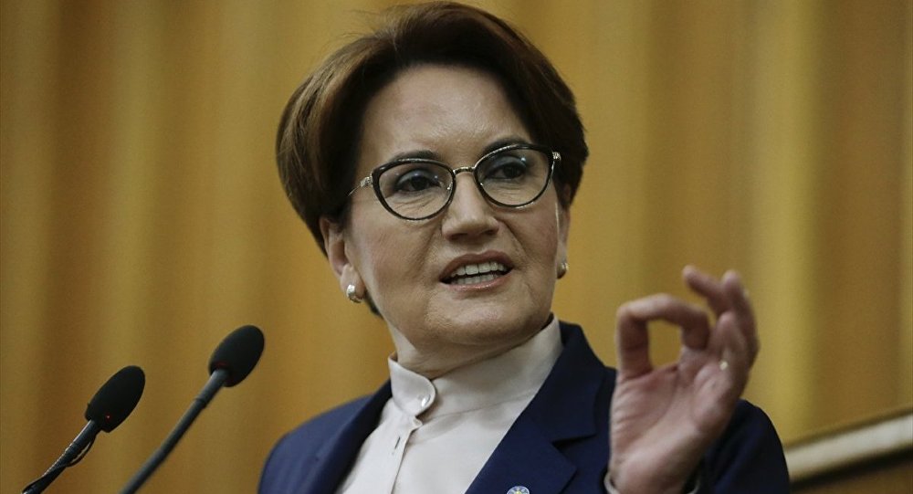 Akşener: Bizi bir çukura itmeye çalışıyorlar, oraya düşmeyeceğiz