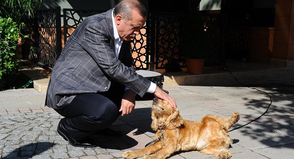 Erdoğan dan hayvan hakları talimatı