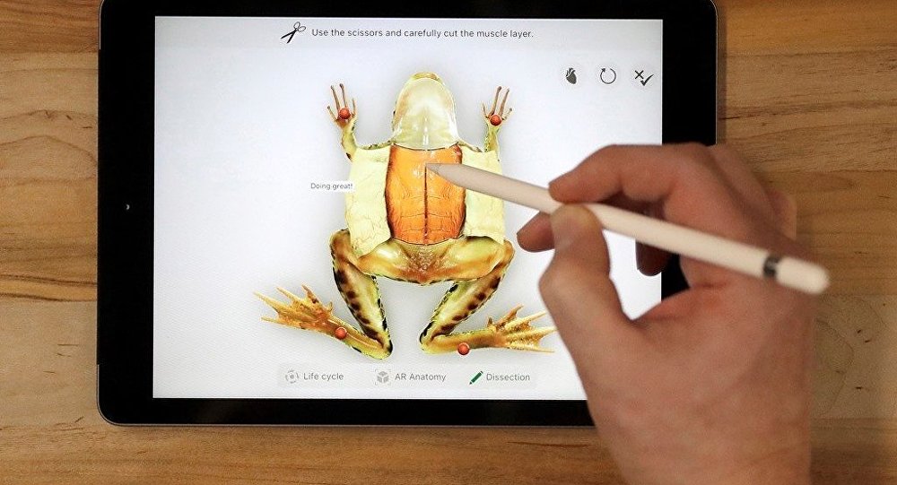 3 yaşındaki çocuk iPad’i etkisizleştirdi