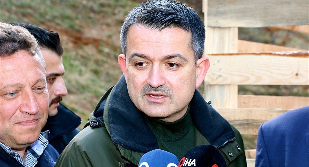 Bakan Pakdemirli den soğan yorumu!