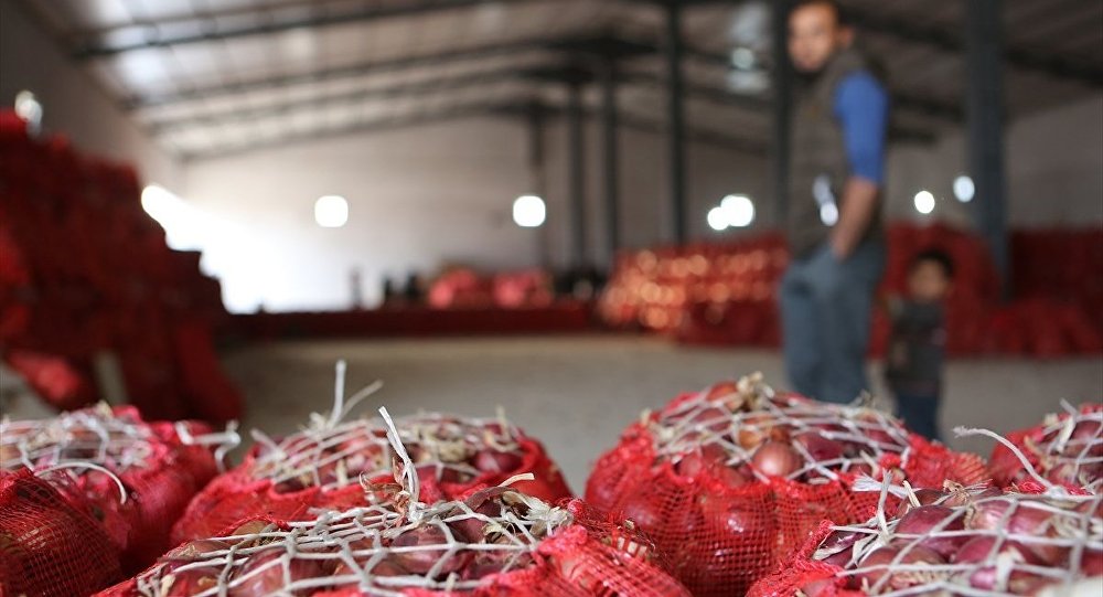 Asgari ücretle alınabilen kuru soğan miktarı 1092 kilodan 446.3 e geriledi