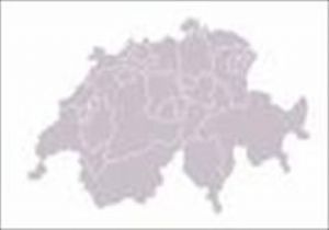 İsviçre de  Sınırdışı Referandumu  Onaylandı 
