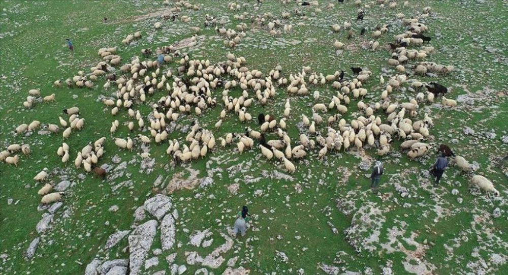 Genç Çiftçi Projesi nde çifte usulsüzlük