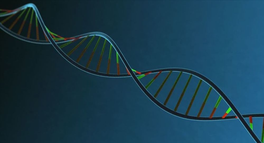 İnsan DNA sının müziği notalara döküldü