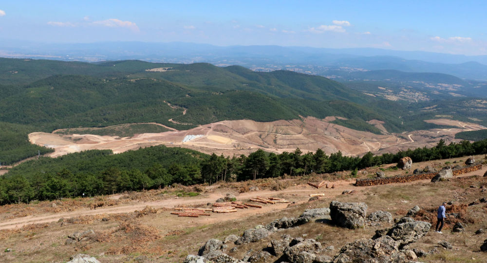 Eskişehir de 200 bine yakın ağaç kesilecek!