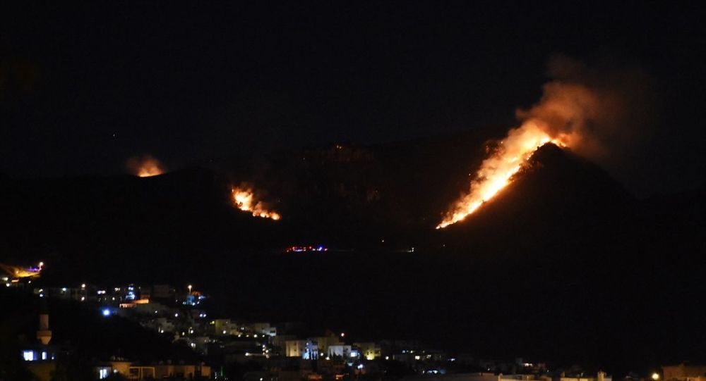 Bodrum da makilik alanda yangın!