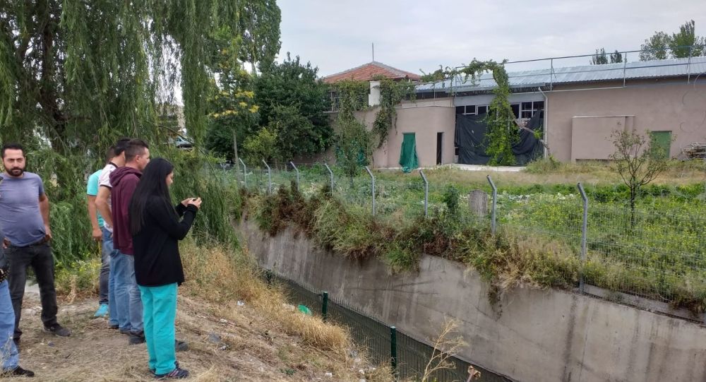 Ankara da 3 köpek zehirlenip su kanalına atıldı!