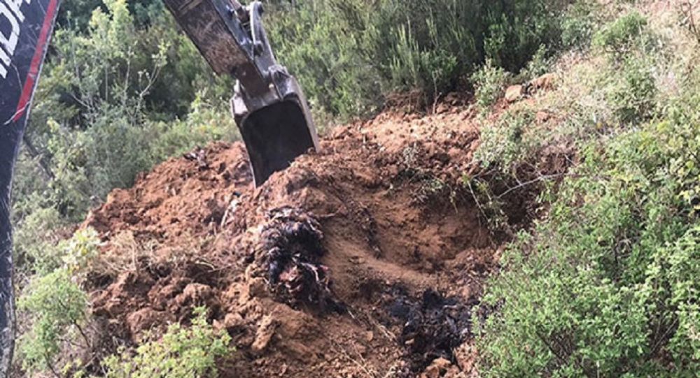 İznik te toprağa gömülü 6 bin ölü tavuk bulundu!