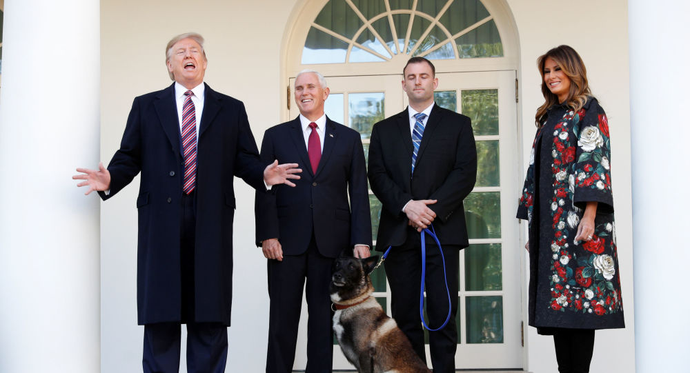 Trump tan Bağdadi operasyonunda görevli köpeğe plaket ve madalya