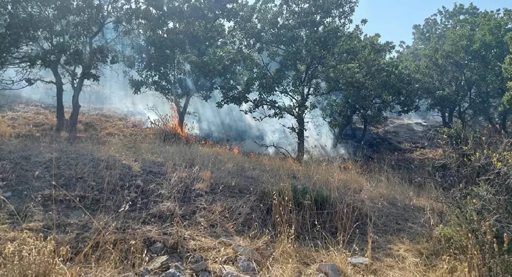 Çanakkale de orman yangını