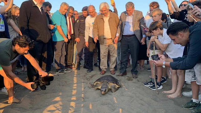 Caretta caretta  Cumhuriyet i 5 bin kişi izledi