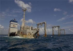 Shell Karadeniz de Petrol Arayacak
