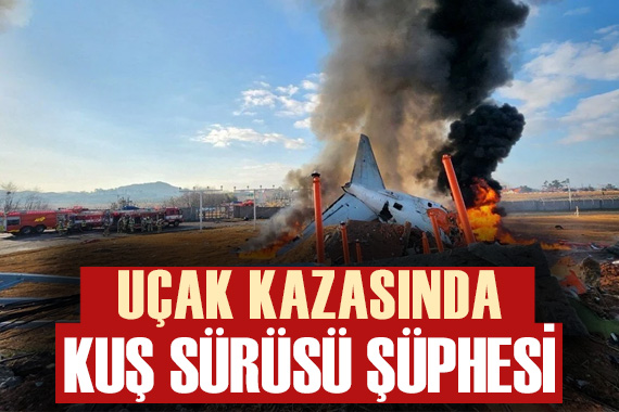 Güney Kore de uçak kazası: 179 kişi hayatını kaybetti