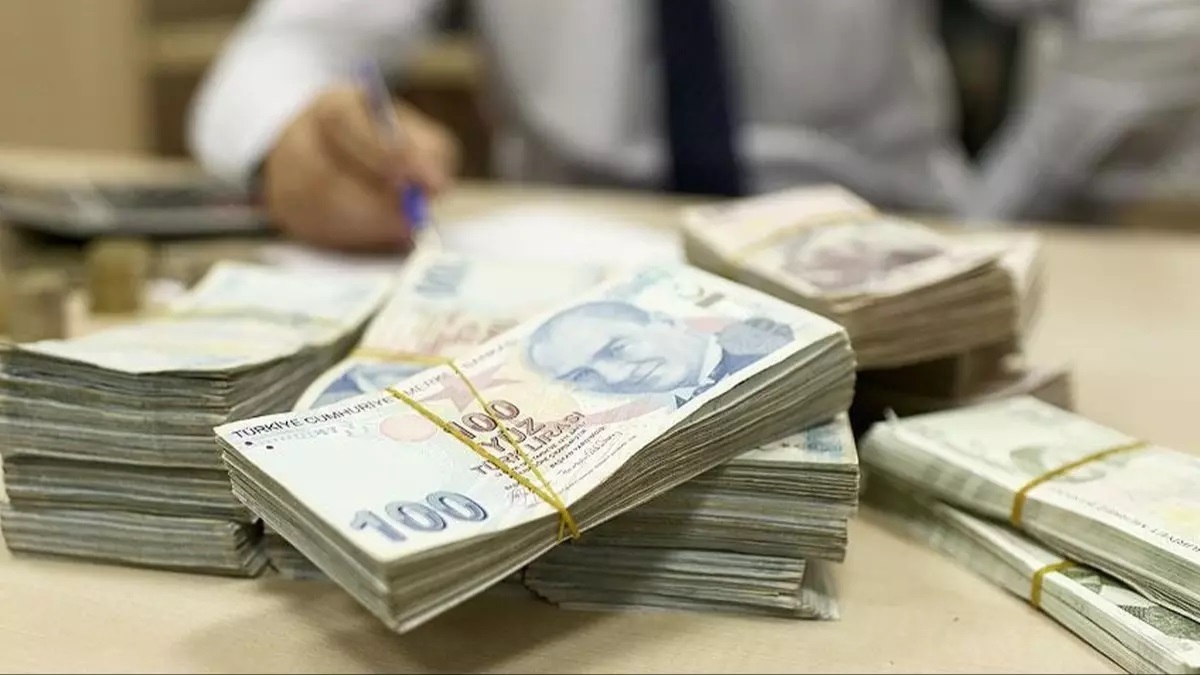 Bakanlık duyurdu! 14 milyon liralık yüzde 50 hibe verilecek