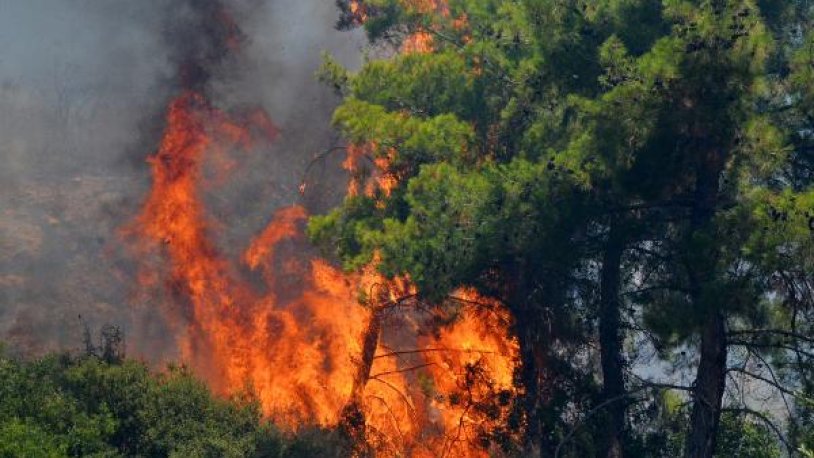 Ankara da ağaçlık alanda yangın