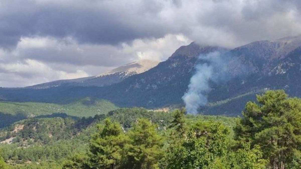 Muğla da korkutan orman yangını