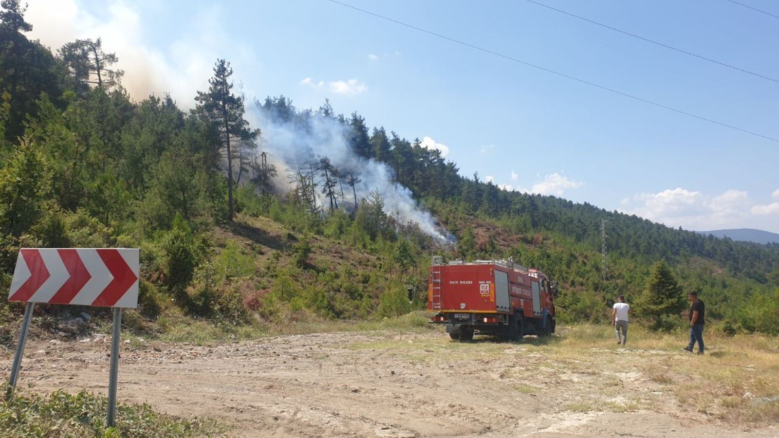 Bursa da orman yangını!