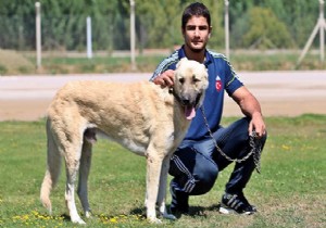 Milli güreşçi Taha Akgül den iddialı açıklamalar!