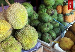Filipinler’in sağlık deposu!