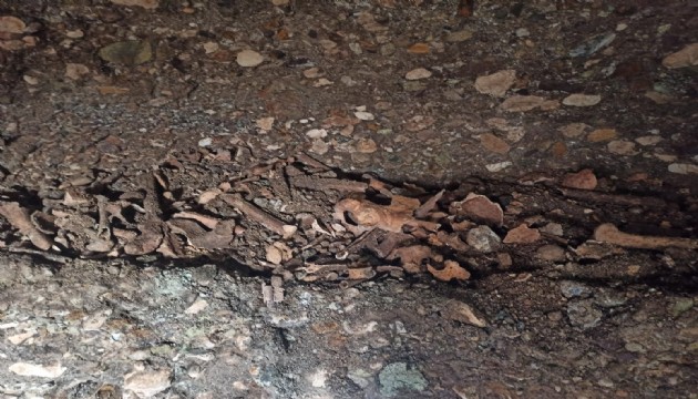 Tarih gün yüzüne çıktı! 1600 yıllık oda mezar bulundu