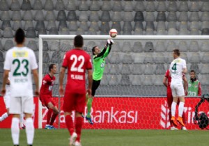 Timsahlardan müthiş dönüş!