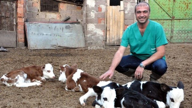 Faruk Çelik: