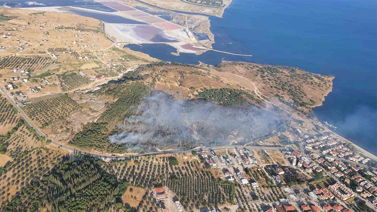 İzmir Dikili de orman yangını!