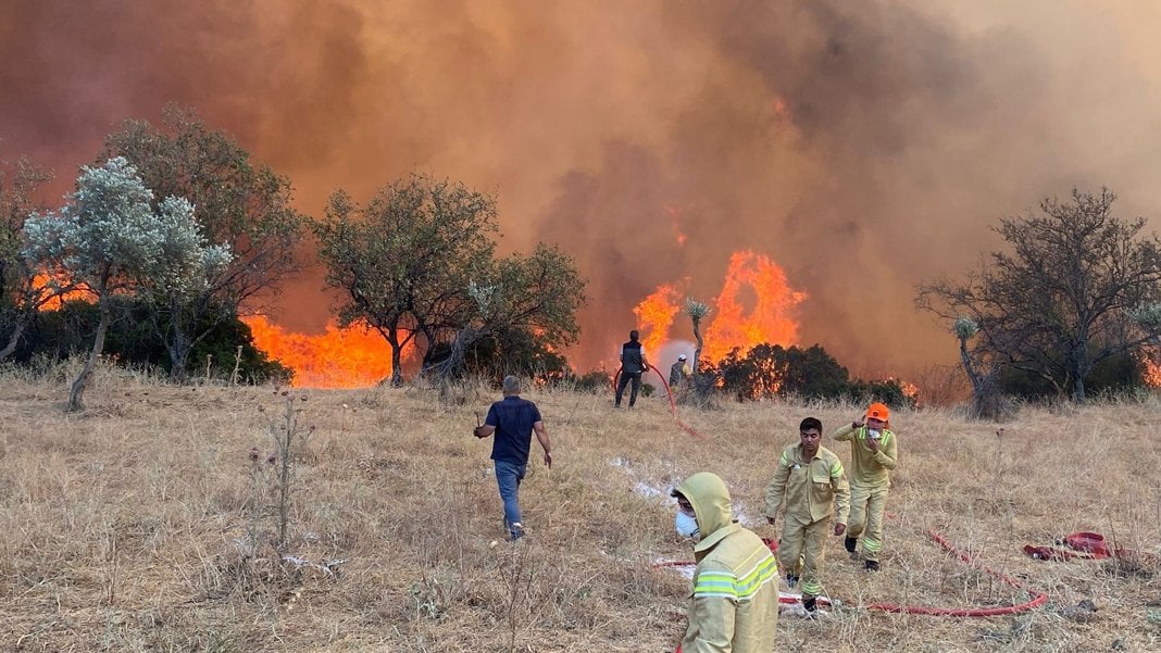 Didim’de makilik alanda yangın