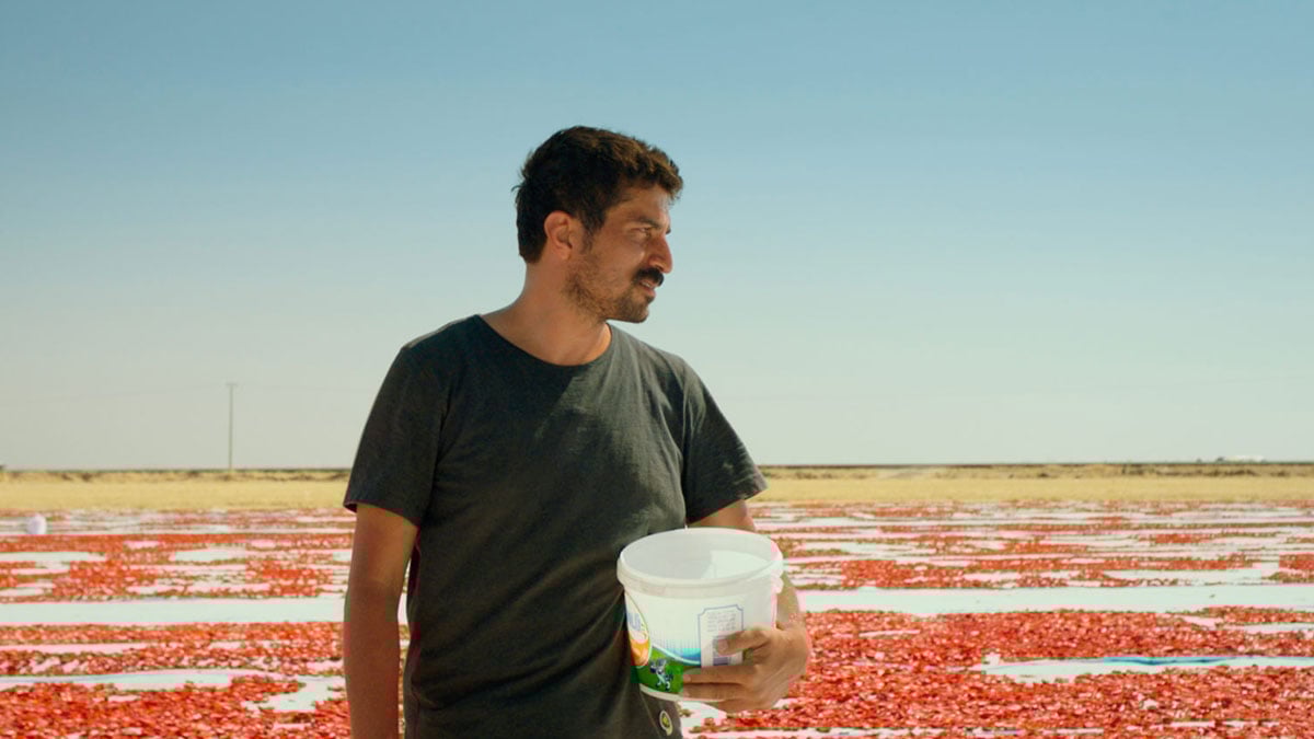 Türkiye nin Oscar adayı belli oldu