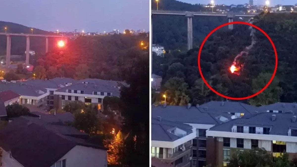 Beykoz da orman yangınına neden olan şüpheli tutuklandı