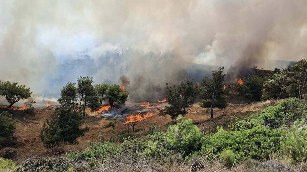 Çanakkale deki yangının çıkış nedeni belli oldu