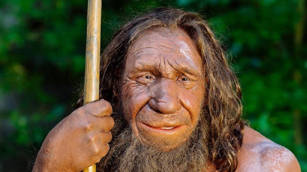 İlginç keşif! Neandertallerin İzleri Türkiye’de