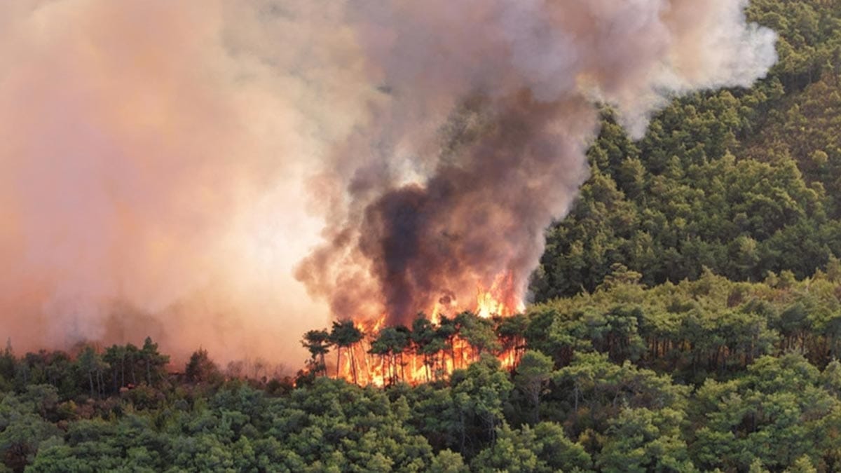 Hükümetten dünyaya acil yardım çağrısı