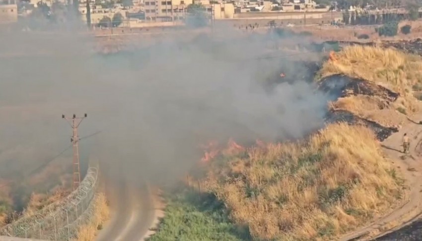 Mardin sınırında anız yangını