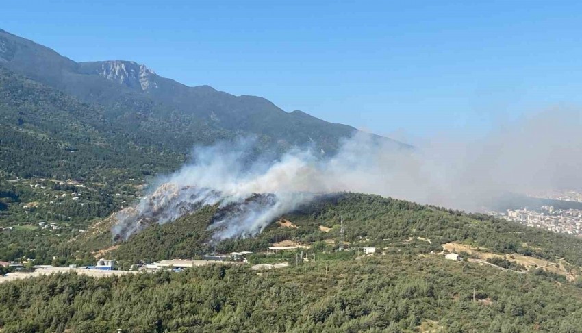 Bursa’da üç ilçede orman yangını
