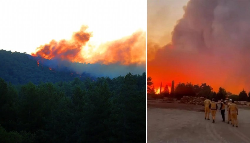 Muğla ve Antalya'da orman yangını