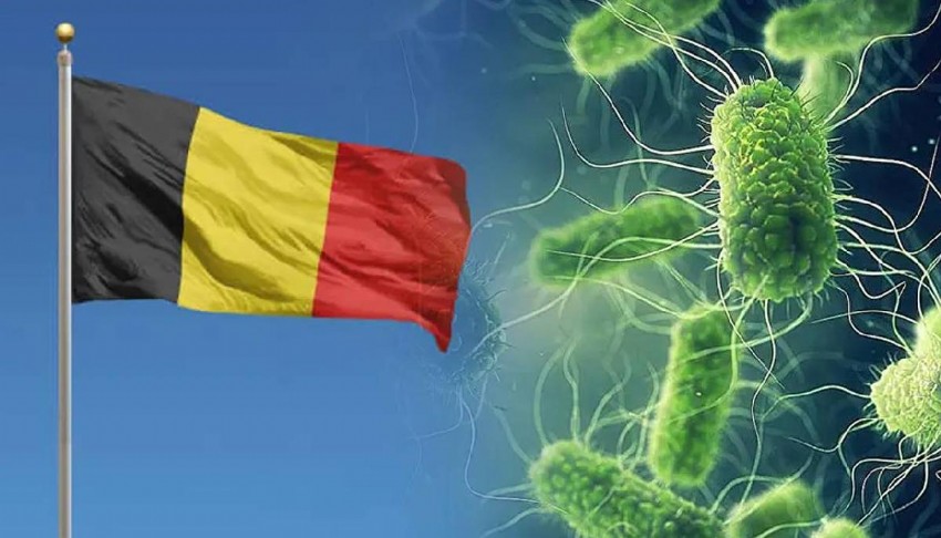 Belçika’da Salmonella salgını