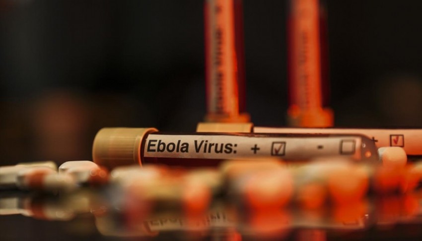 Ebola salgınında can kaybı 3 bin 398'e ulaştı