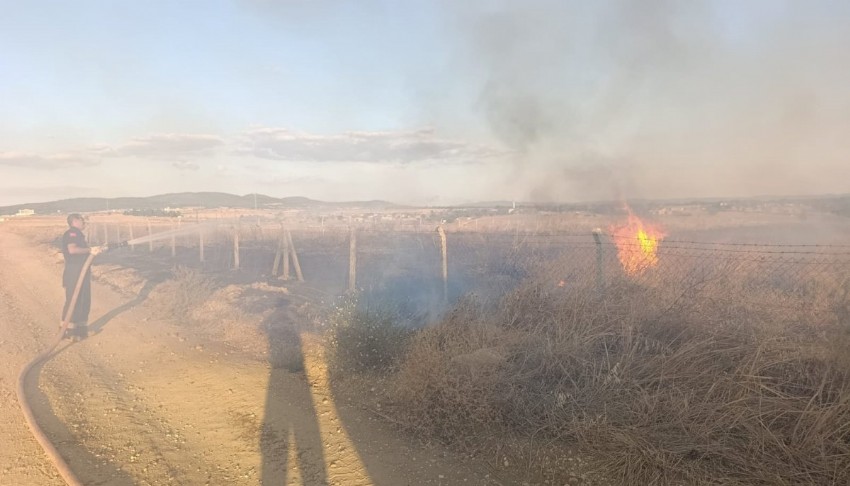 Keşan'da lavanta hasadı öncesi büyük şok