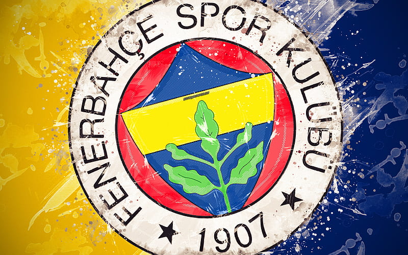 Fenerbahçe de milli yıldız sakatlandı!