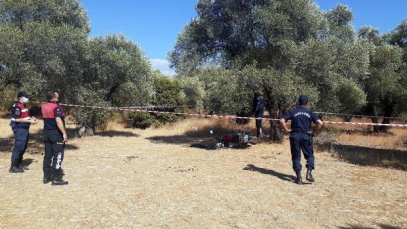 Aydın da itfaiye eri, zeytinlikte kendini astı