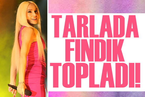 Gülşen tarlada fındık topladı