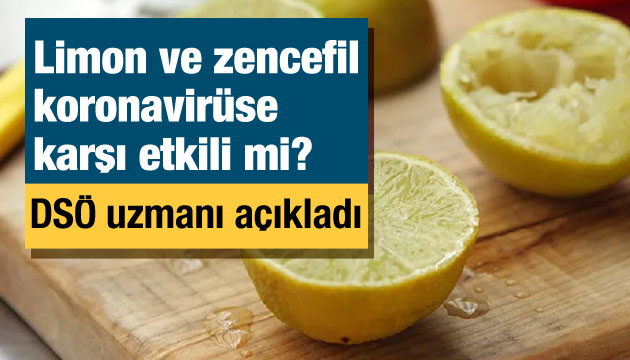 Limon ve zencefil koronavirüse karşı etkili mi? DSÖ uzmanı açıkladı