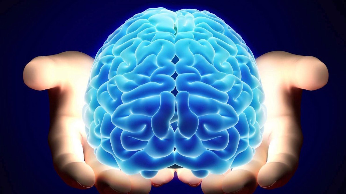 Dünyada bir ilk... 3D yazıcı ile beyin dokusu yaptılar